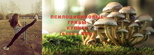 хмурый Балахна