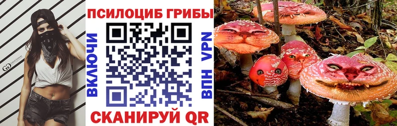 Галлюциногенные грибы мицелий Сунжа